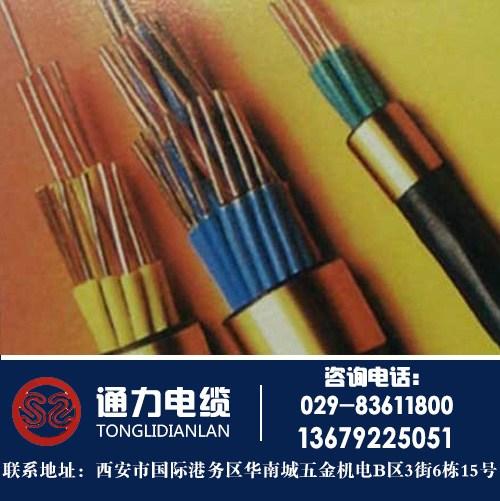 陕西通力电缆制造专业从事电线电缆的加工与制造,如有需要,可